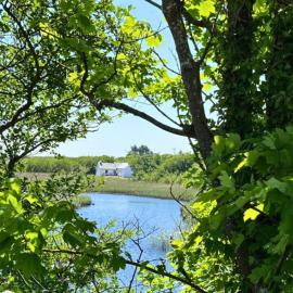 River Cottage, Clifden