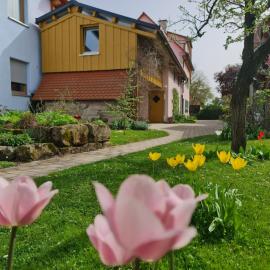 Ferienwohnung Wiesenhof
