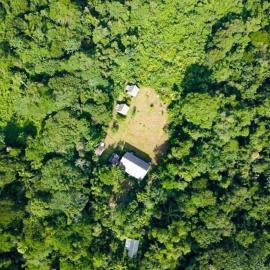 Amazon Tropical Expeditions
