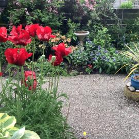 The Garden Flat