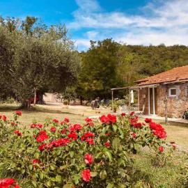 Agriturismo Poggio Ceraso di Lamioni Roberto