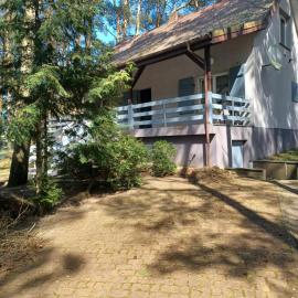 Domek pod Sosnami nad jeziorem Głuszyńskim, hotel in Piotrków Kujawski