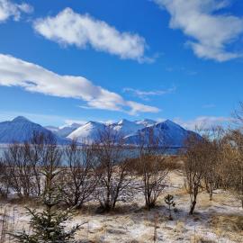Charming apartment, hotelli kohteessa Borgarnes