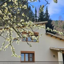 CASA MONTEPINAR