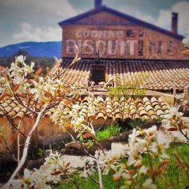Bastide Napoléon, hotel v mestu Séranon