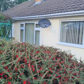 Wenford Dorma Bungalow, hôtel à Mostyn