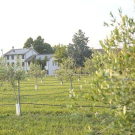 Casa di Alba - Alloggi turistici