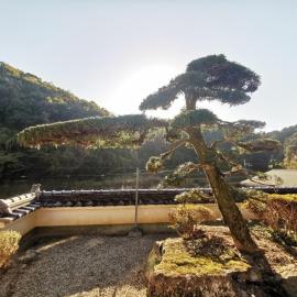 奈良公園から車で約10分Jr奈良駅から車で約15分 福宿, hotel em Nara
