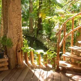 두마게테에 위치한 호텔 Dumaguete Oasis Treehouse, near airport and mall, beside Magsaysay Elementary School