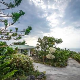 The Pineapple Express Hot Tub Volcano 65 Mi Away, hotel a Papa Bay Estates