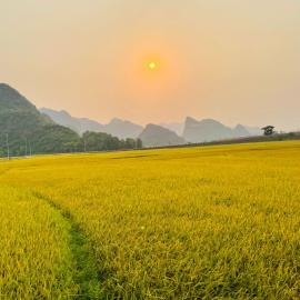 Huy-Homestay, hotel in Phong Nha