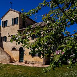 I Ciliegi, hotell i Osimo