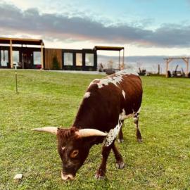 파인그로브에 위치한 호텔 ‘Scenic Escapes’ Romantic Pine Grove Getaway!