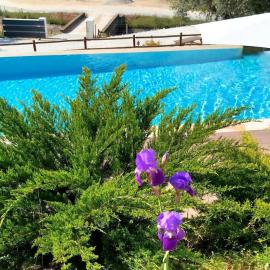 Villa Regadio, ξενοδοχείο σε Covilhã