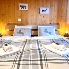 Appartement Cosy - Chalet Central, hotel sa Wengen