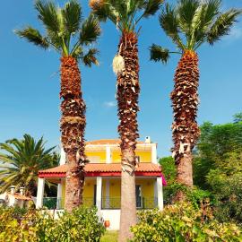 The Three Palms Samos Seaside Villa، فندق في Mesókampos