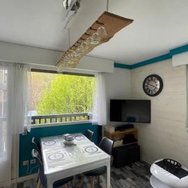 Appartement saint lary résidence la soulane, hotel en Vignec