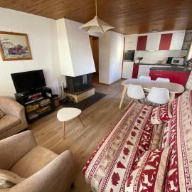 Appartement confortable, cœur de Châtel, près des télécabines - FR-1-693-69
