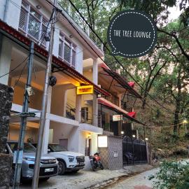 The Tree Lounge