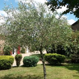 Brimbilly, maison de charme