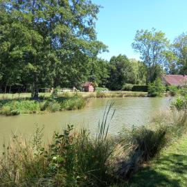 Moulin de Sauvagette