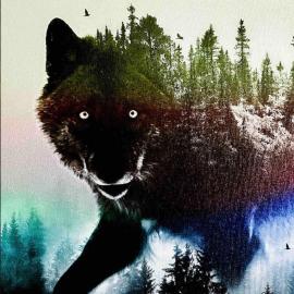 The Wolfs Den, khách sạn ở Bancroft