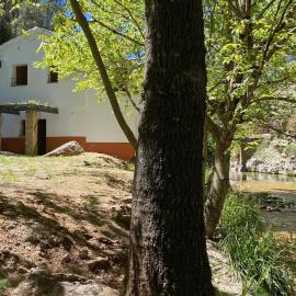 Casa rural Molino Jaráiz Ideal Familias y Grupos 8 Pax Terraza sobre el Río Tus