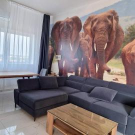Safari, hotell i Lomé