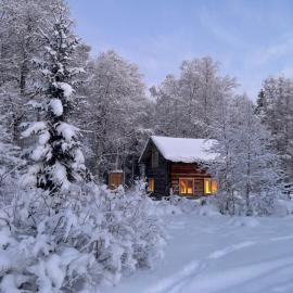 Gemütliche Blockhütte mit Außentoilette und Badezimmer im Haupthaus, hotel in Jörn