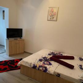 Apartament Costescu, hotel in Băile Herculane