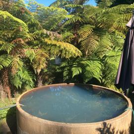 Whare&geothermal pool by lake Taupo, hotel in Turangi