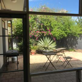 Paradise Grove