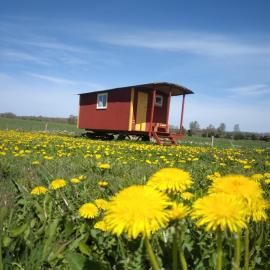 Röda Vagnen Nostalgi och natur i unik cirkusvagn, hotel a Hörby