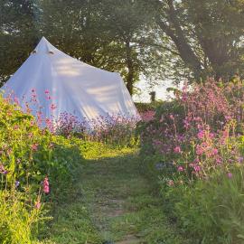 Foxglove Field Glamping, hotel a Perranuthnoe