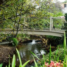 Adelaide Hills Camellia Cottage Wifi – hotel w mieście Crafers