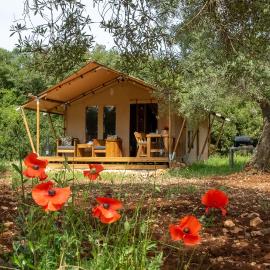 Domus Olea Glamping, hotel em Ceglie Messapica