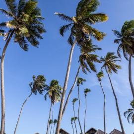 Go Eco Paradise Ap210 Pé na Areia e Piscina no Centro do Cumbuco โรงแรมในเกากายา