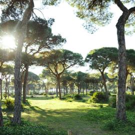 Hostal Quinto Pino, hotel em Chipiona