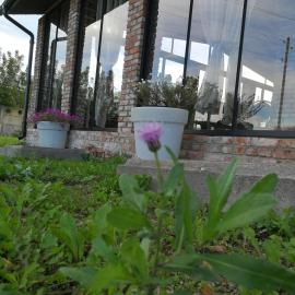 Templis, hotel u gradu Jelgava