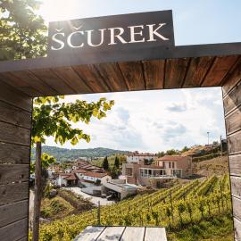 Posestvo Ščurek wine, ξενοδοχείο σε Dobrovo