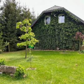 Pucówka na skraju Puszczy Białowieskiej, hotel en Hajnówka
