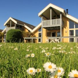 Seeschwalbe Classic 41 โรงแรมในเร็คลีน