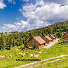 Chalet in den Alpen mit Sauna، فندق في Weinebene