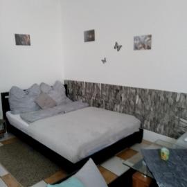Schöne Studiowohnung, renoviert, zentrale Lage、ザールルイのホテル