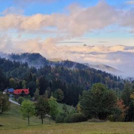 Domek na Obidzy