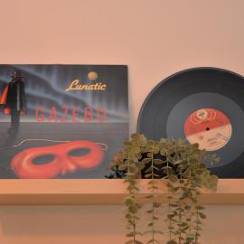 Vinyls' Green Home - Toledo Centro Storico
