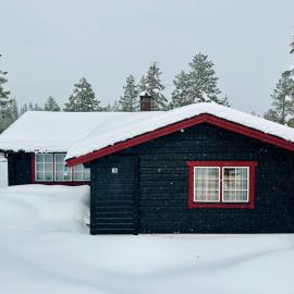 Sälentoppen, хотел в Сален