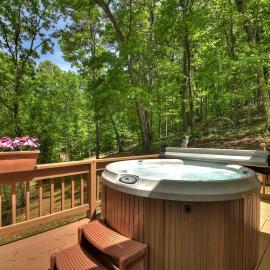 Goldfinch Rustic - Retreat w Hot Tub& Fire Pit, hotel i Ellijay