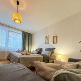 revLIVING Kaiser Franz Septima Altstadt Apartment Baden