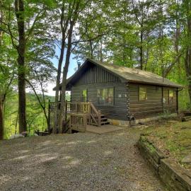 Cozy Mountain Cabin, hotelli kohteessa Ellijay